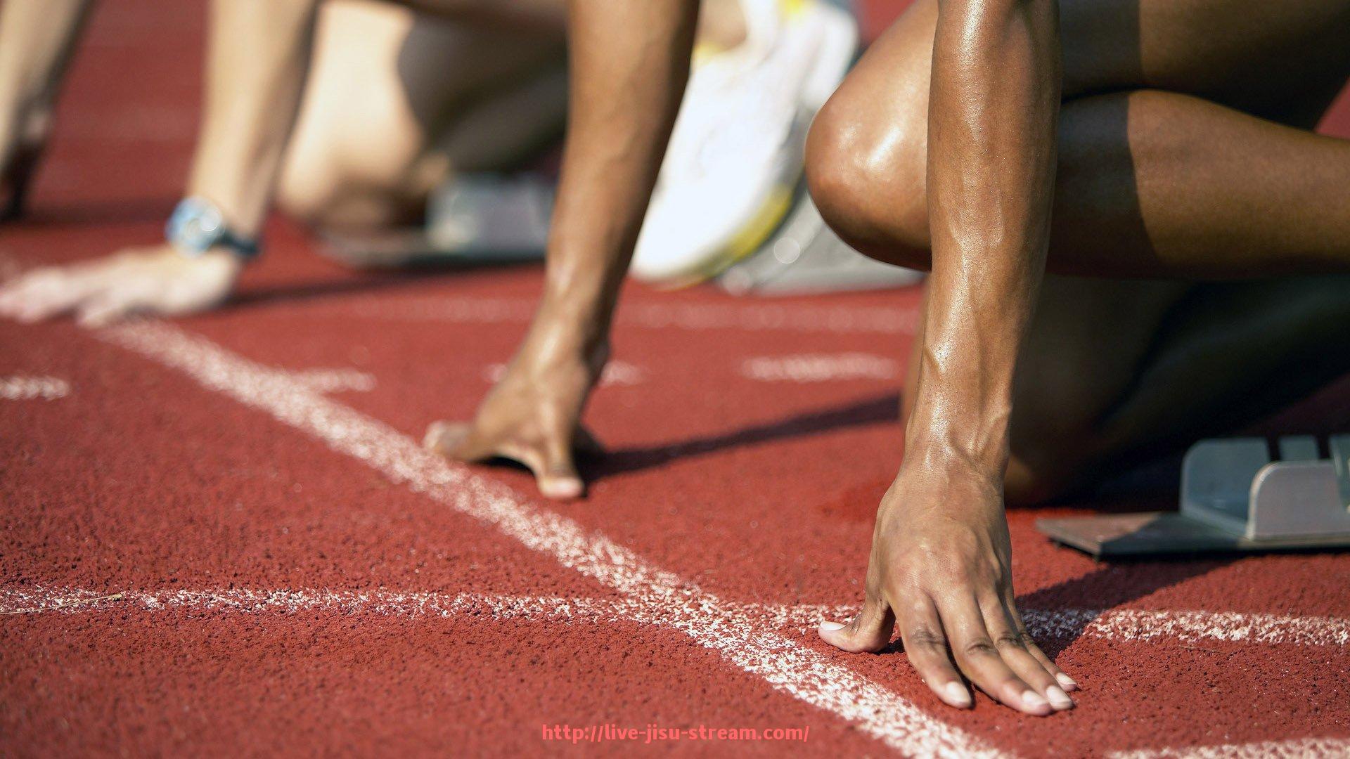 极速直播-世俱杯赛事城市志愿者与赛事志愿者职责分工与规范要求
